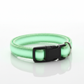 Glow in the Dark Pet Collar